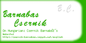 barnabas csernik business card
